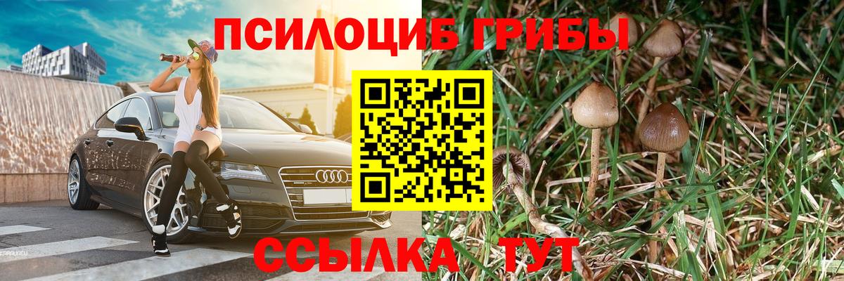 Псилоцибиновые грибы Magic Shrooms Кувандык